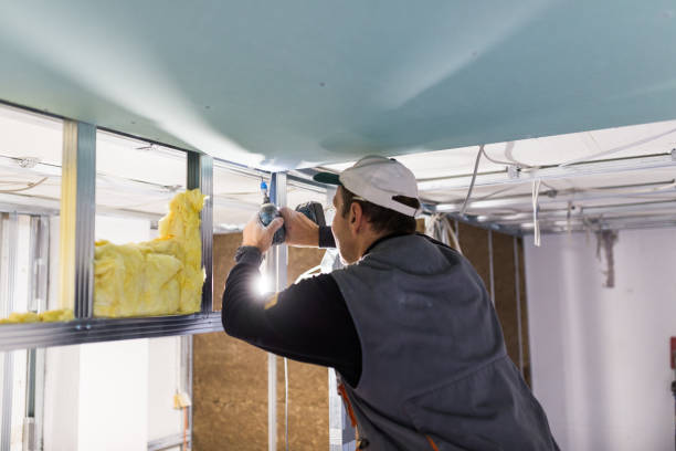 Best Basement Insulation  in Brighton, MI