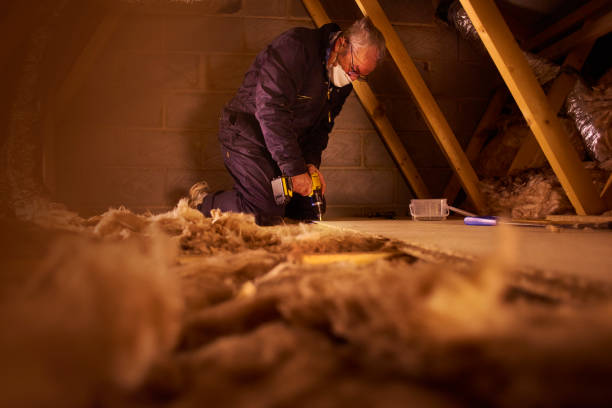 Brighton, MI Insulation Installation & Removal Company